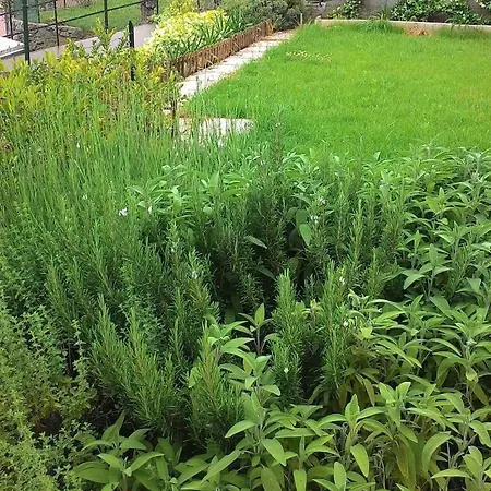 Nyaraló Casa Al Mare In Liguria