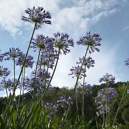 Casa Al Mare In Liguria * 베르게지
