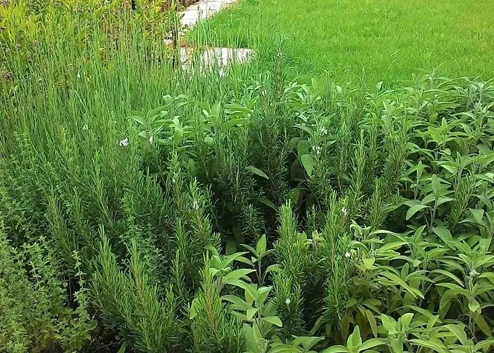 Nyaraló Casa Al Mare In Liguria