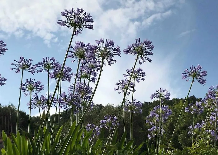 Casa Al Mare In Liguria * 베르게지
